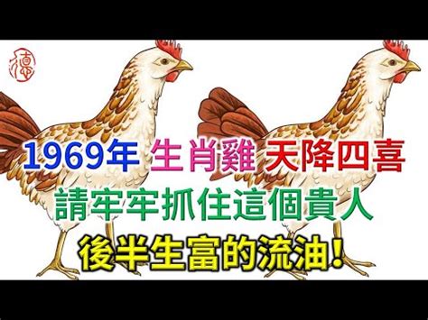 1969雞五行|【1969 雞 五行】1969年的雞是土命！來看看五行屬性及運勢建議